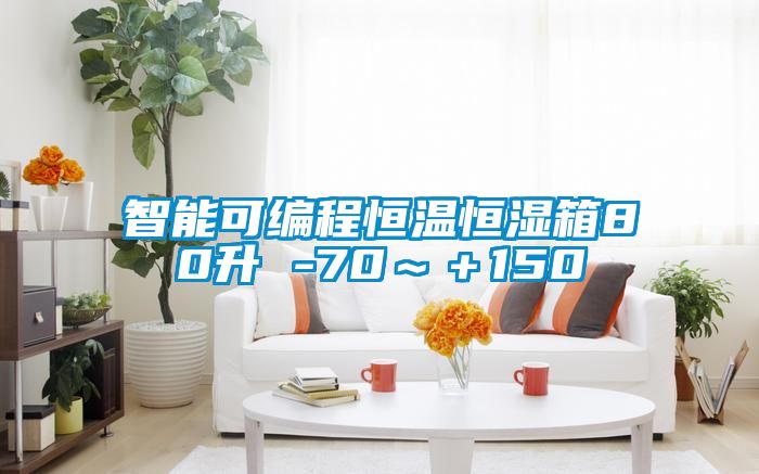 欧美成色手机在线观看 智能可编程恒温恒湿箱80升 -70～＋150℃