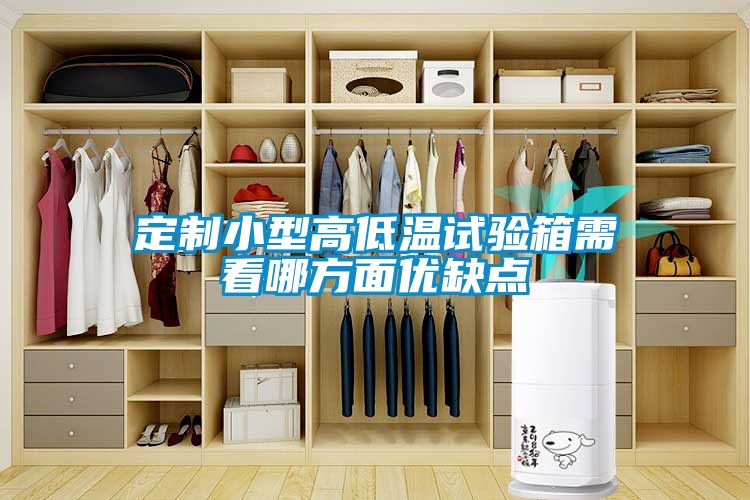 欧美黄色性爱视频网站 定制小型高低温试验箱需看哪方面优缺点