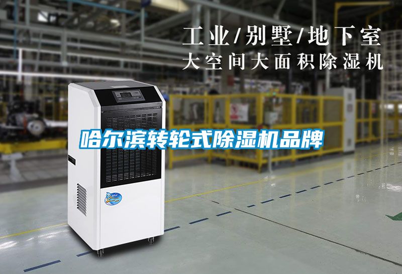 欧美成色手机在线观看 哈尔滨转轮式除湿机品牌