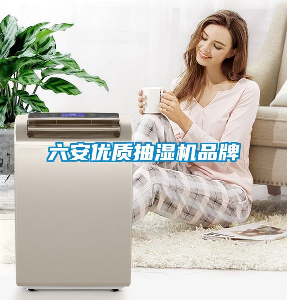 欧美黄色性爱视频网站 六安优质抽湿机品牌