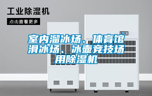 欧美黄色性爱视频网站 室内溜冰场、体育馆滑冰场、冰壶竞技场用除湿机