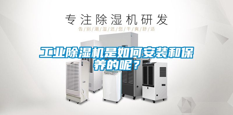 欧美黄色电影在线播放 工业除湿机是如何安装和保养的呢？