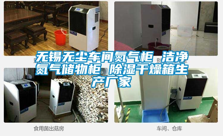 欧美黄色电影在线播放 无锡无尘车间氮气柜 洁净氮气储物柜 除湿干燥箱生产厂家