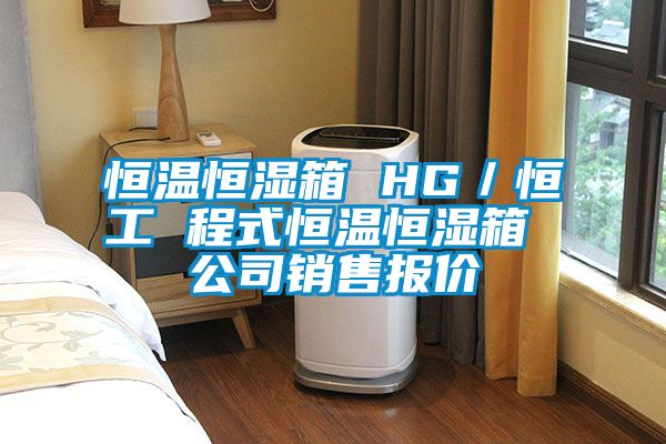 欧美成色手机在线观看 恒温恒湿箱 HG／恒工 程式恒温恒湿箱 公司销售报价