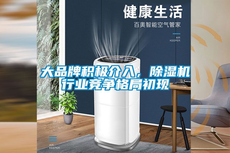 欧美成色手机在线观看 大品牌积极介入，除湿机行业竞争格局初现