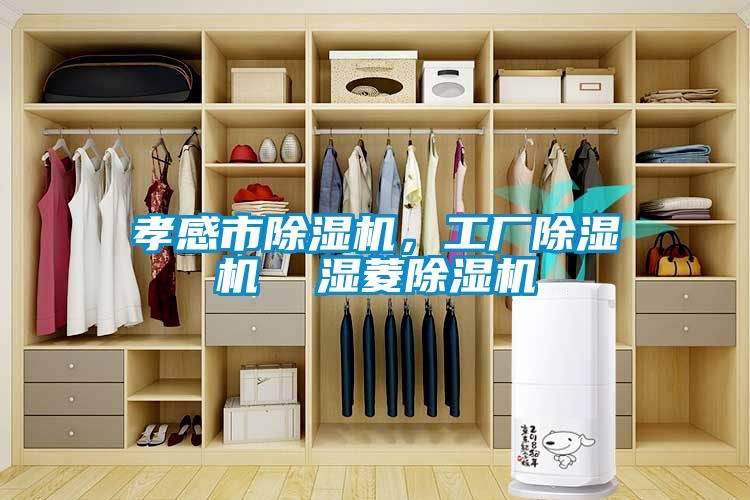 欧美黄色电影在线播放 孝感市除湿机，工厂除湿机  湿菱除湿机