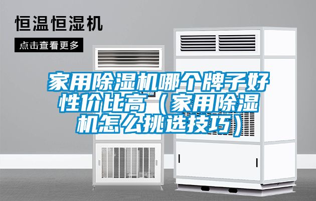 欧美黄色性爱视频网站 家用除湿机哪个牌子好性价比高（家用除湿机怎么挑选技巧）
