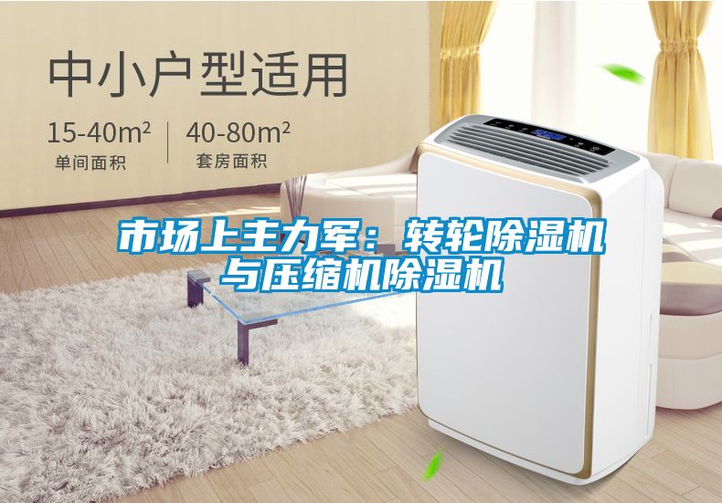 欧美黄色电影在线播放 市场上主力军：转轮除湿机与压缩机除湿机