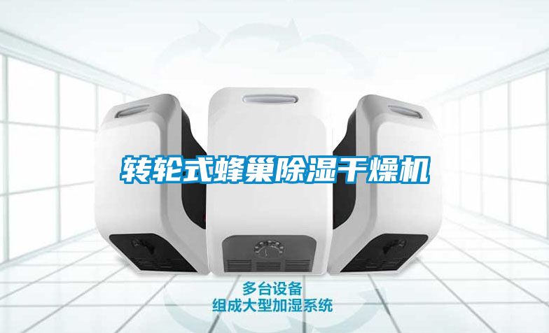 欧美成色手机在线观看 转轮式蜂巢除湿干燥机