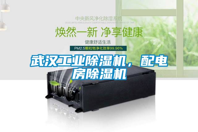 欧美成色手机在线观看 武汉工业除湿机，配电房除湿机