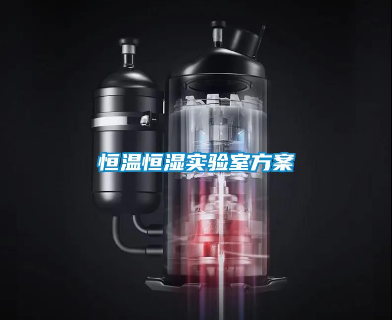 欧美黄色电影在线播放 恒温恒湿实验室方案