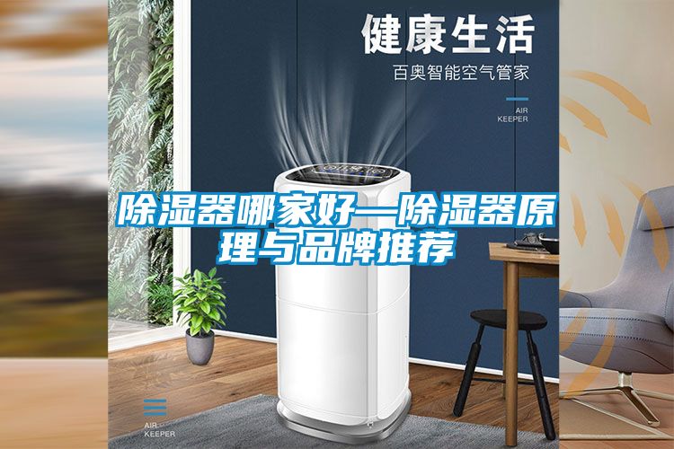 欧美黄色性爱视频网站 除湿器哪家好—除湿器原理与品牌推荐