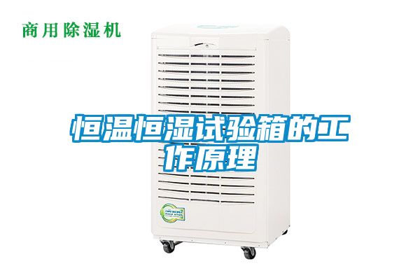 欧美黄色电影在线播放 恒温恒湿试验箱的工作原理