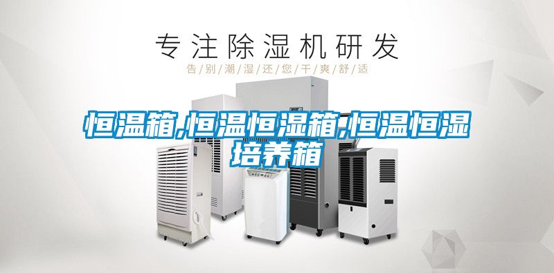 欧美成色手机在线观看 恒温箱,恒温恒湿箱,恒温恒湿培养箱