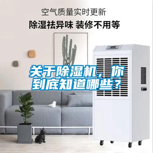 欧美黄色性爱视频网站 关于除湿机，你到底知道哪些？