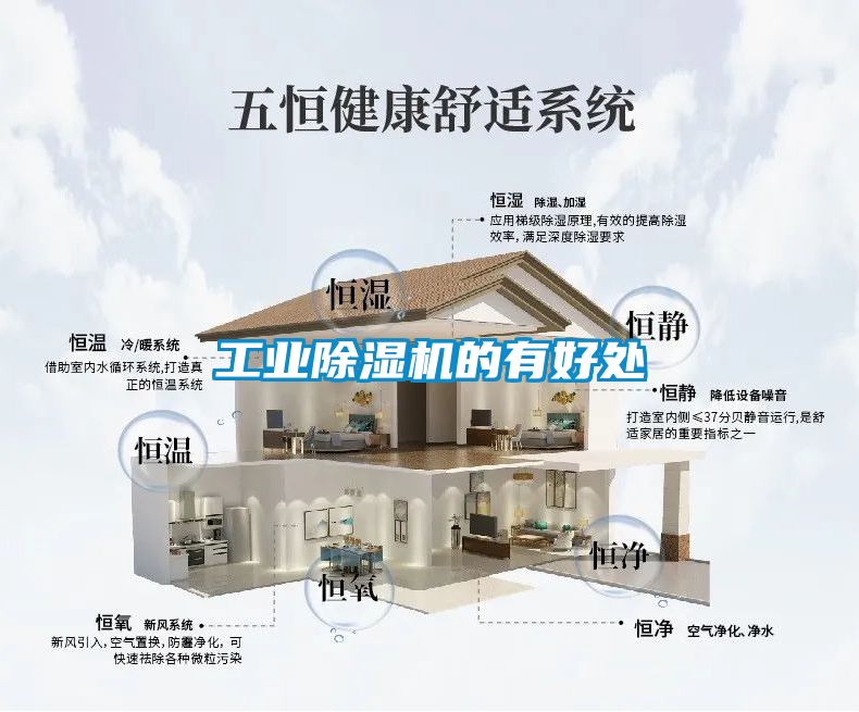 欧美成色手机在线观看 工业除湿机的有好处