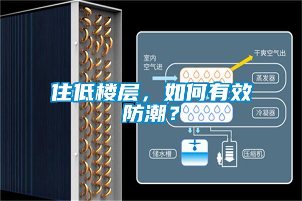 欧美黄色电影在线播放 住低楼层，如何有效防潮？