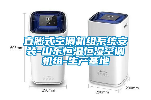欧美黄色电影在线播放 直膨式空调机组系统安装-山东恒温恒湿空调机组-生产基地
