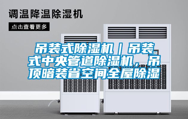 欧美黄色性爱视频网站 吊装式除湿机｜吊装式中央管道除湿机，吊顶暗装省空间全屋除湿