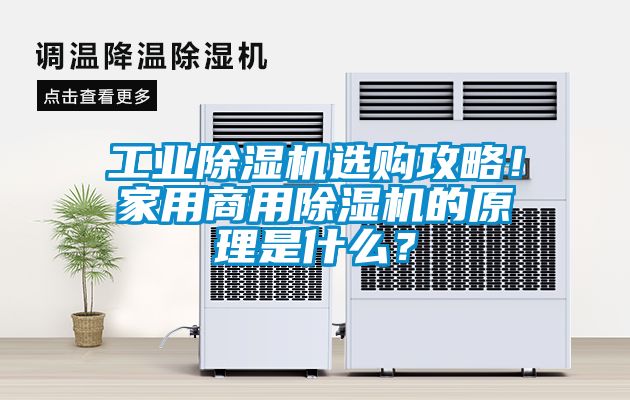 欧美黄色性爱视频网站 工业除湿机选购攻略！家用商用除湿机的原理是什么？