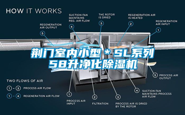 欧美黄色性爱视频网站 荆门室内小型＊SL系列58升净化除湿机