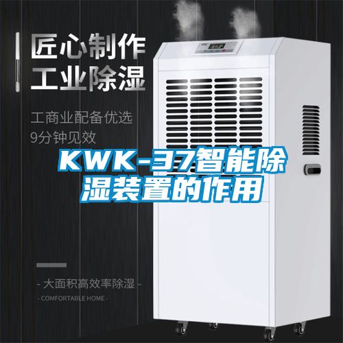 欧美成色手机在线观看 KWK-37智能除湿装置的作用