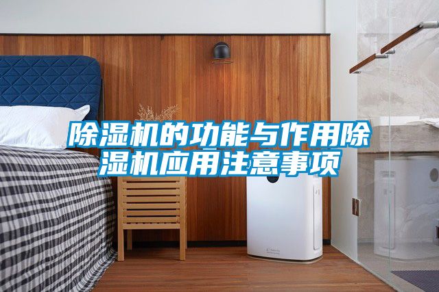 欧美黄色电影在线播放 除湿机的功能与作用除湿机应用注意事项