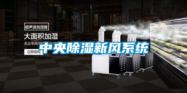 欧美成色手机在线观看 中央除湿新风系统