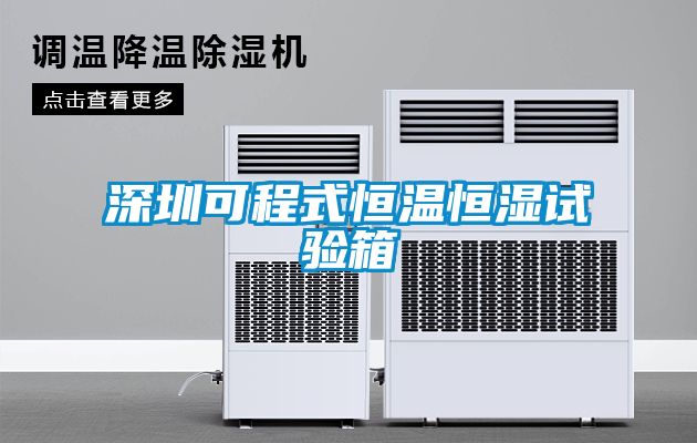 欧美黄色电影在线播放 深圳可程式恒温恒湿试验箱
