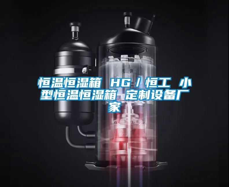 欧美黄色性爱视频网站 恒温恒湿箱 HG／恒工 小型恒温恒湿箱 定制设备厂家