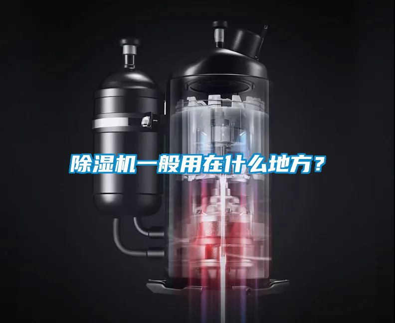 欧美成色手机在线观看 除湿机一般用在什么地方？