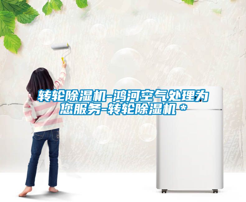 欧美成色手机在线观看 转轮除湿机-鸿河空气处理为您服务-转轮除湿机＊