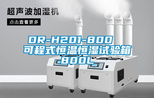 欧美黄色性爱视频网站 DR-H201-800  可程式恒温恒湿试验箱800L