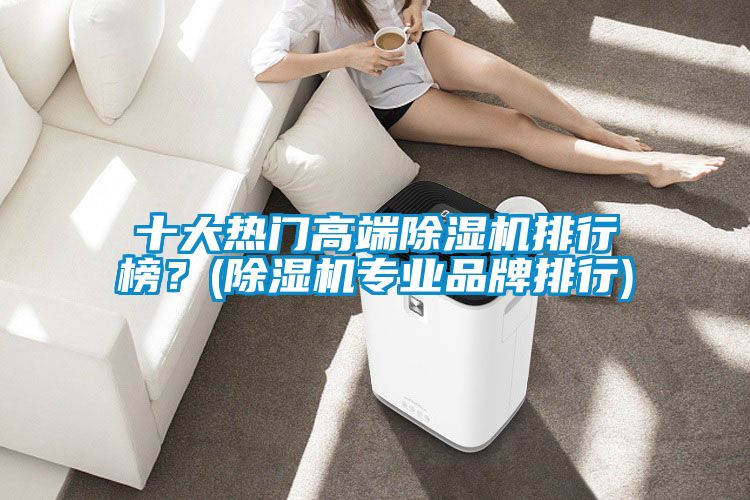 欧美黄色性爱视频网站 十大热门高端除湿机排行榜？(除湿机专业品牌排行)