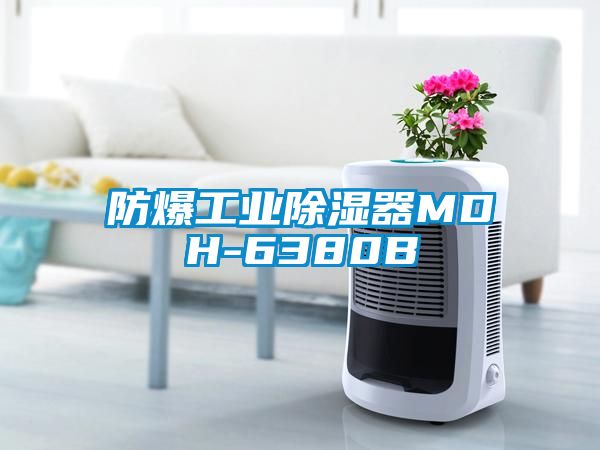 欧美黄色性爱视频网站 防爆工业除湿器MDH-6380B