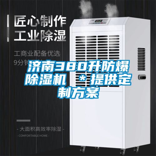 欧美黄色性爱视频网站 济南380升防爆除湿机 ＊提供定制方案