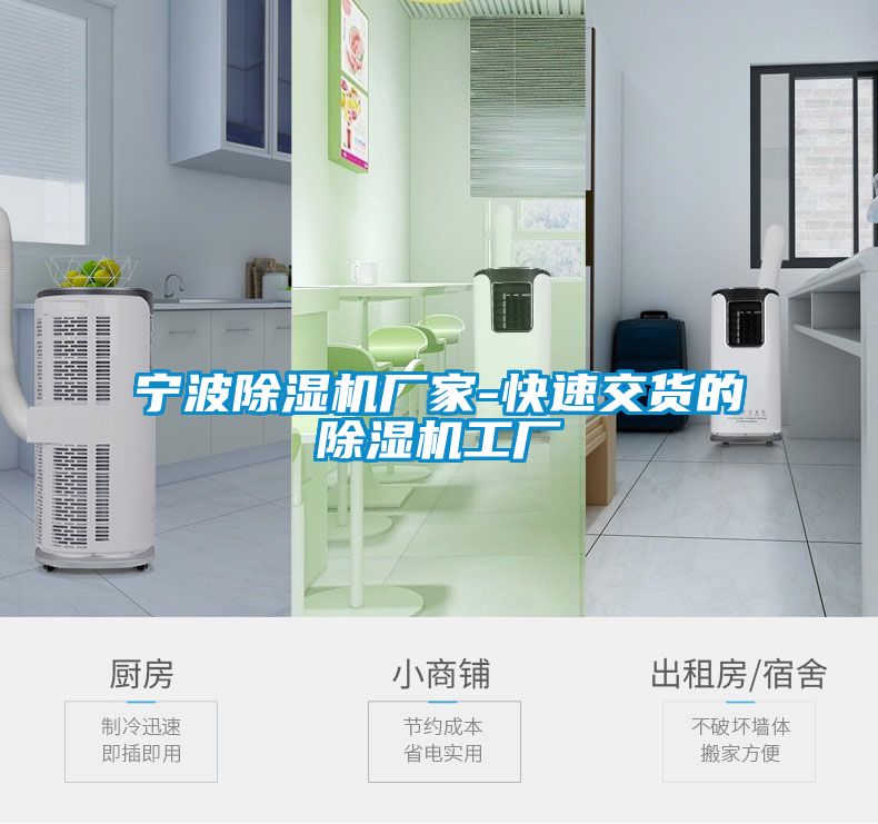 欧美黄色性爱视频网站 宁波除湿机厂家-快速交货的除湿机工厂