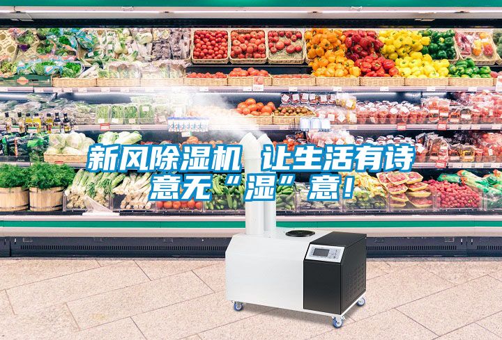 欧美黄色电影在线播放 新风除湿机 让生活有诗意无“湿”意！