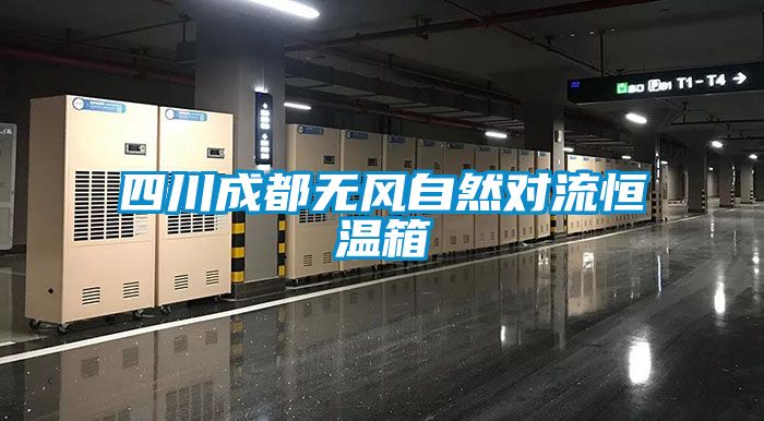 欧美成色手机在线观看 四川成都无风自然对流恒温箱