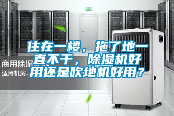 欧美黄色电影在线播放 住在一楼，拖了地一直不干，除湿机好用还是吹地机好用？