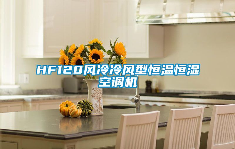 欧美成色手机在线观看 HF120风冷冷风型恒温恒湿空调机