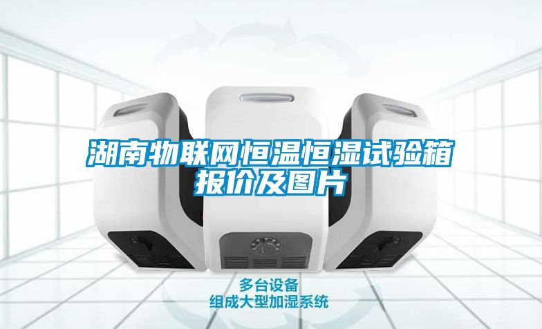 欧美黄色性爱视频网站 湖南物联网恒温恒湿试验箱报价及图片