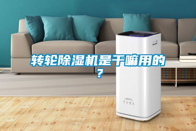 欧美黄色性爱视频网站 转轮除湿机是干嘛用的？