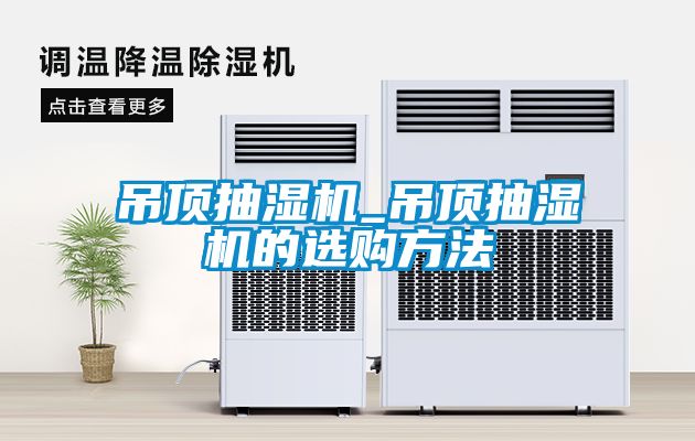 欧美黄色性爱视频网站 吊顶抽湿机_吊顶抽湿机的选购方法