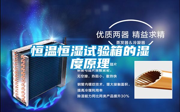 欧美黄色性爱视频网站 恒温恒湿试验箱的湿度原理
