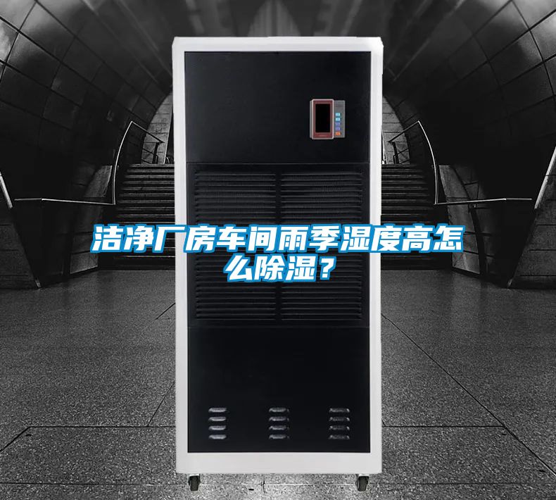 欧美黄色电影在线播放 洁净厂房车间雨季湿度高怎么除湿？