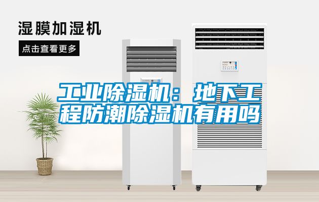 欧美成色手机在线观看 工业除湿机：地下工程防潮除湿机有用吗