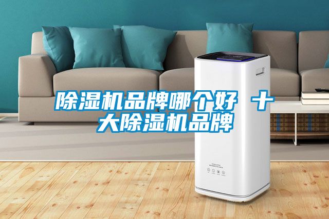 欧美成色手机在线观看 除湿机品牌哪个好 十大除湿机品牌