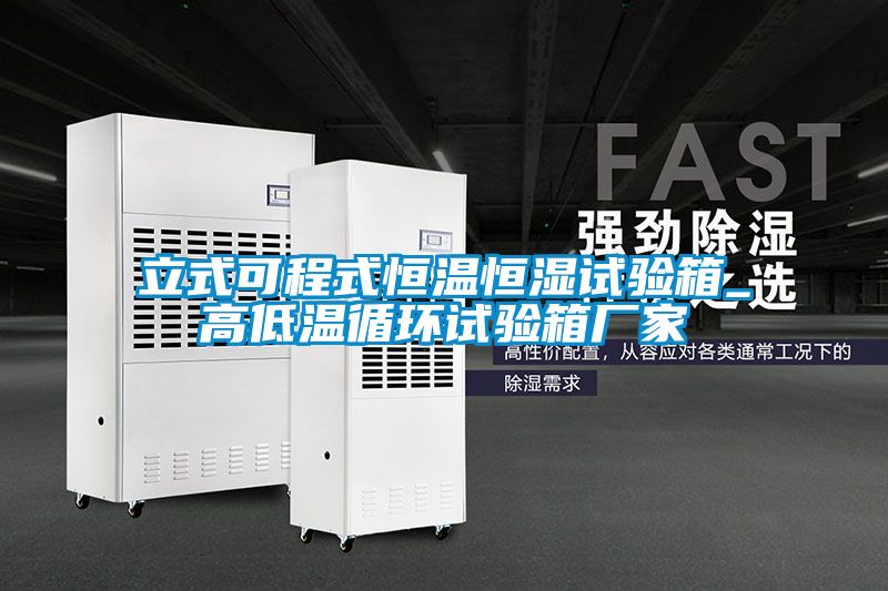 欧美黄色电影在线播放 立式可程式恒温恒湿试验箱_高低温循环试验箱厂家
