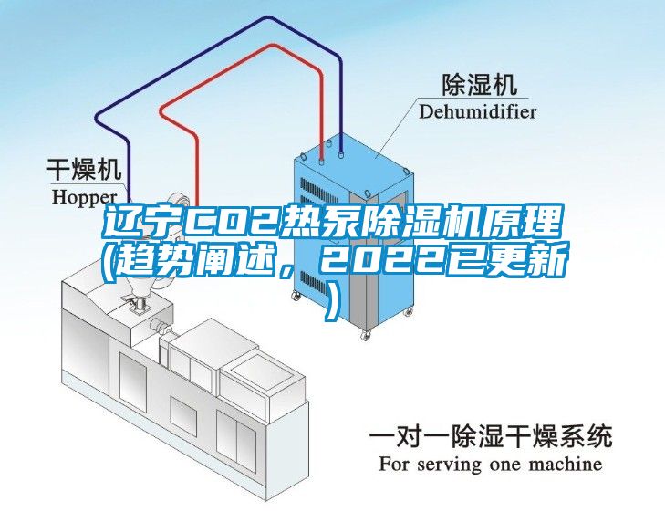 欧美黄色电影在线播放 辽宁CO2热泵除湿机原理(趋势阐述，2022已更新)